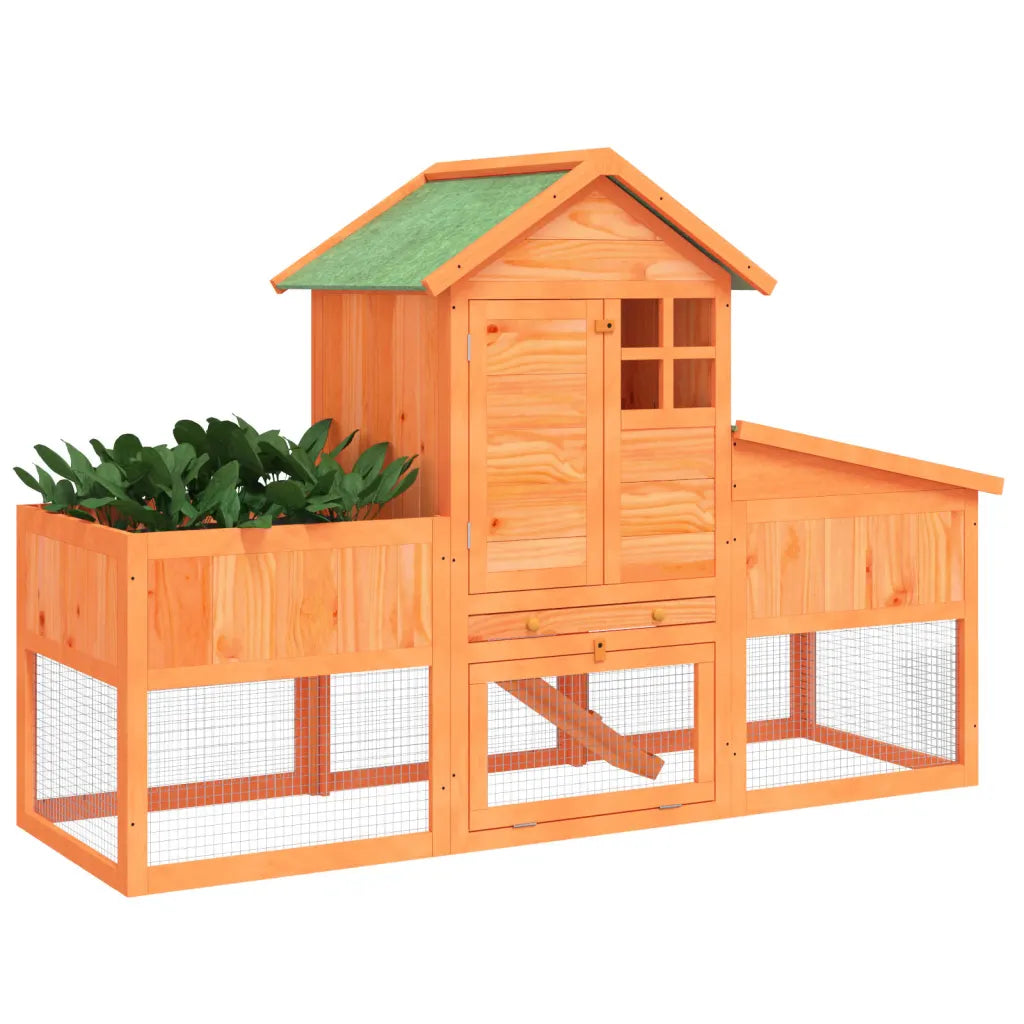 Conigliera 170x63x113 cm in legno massello di pino