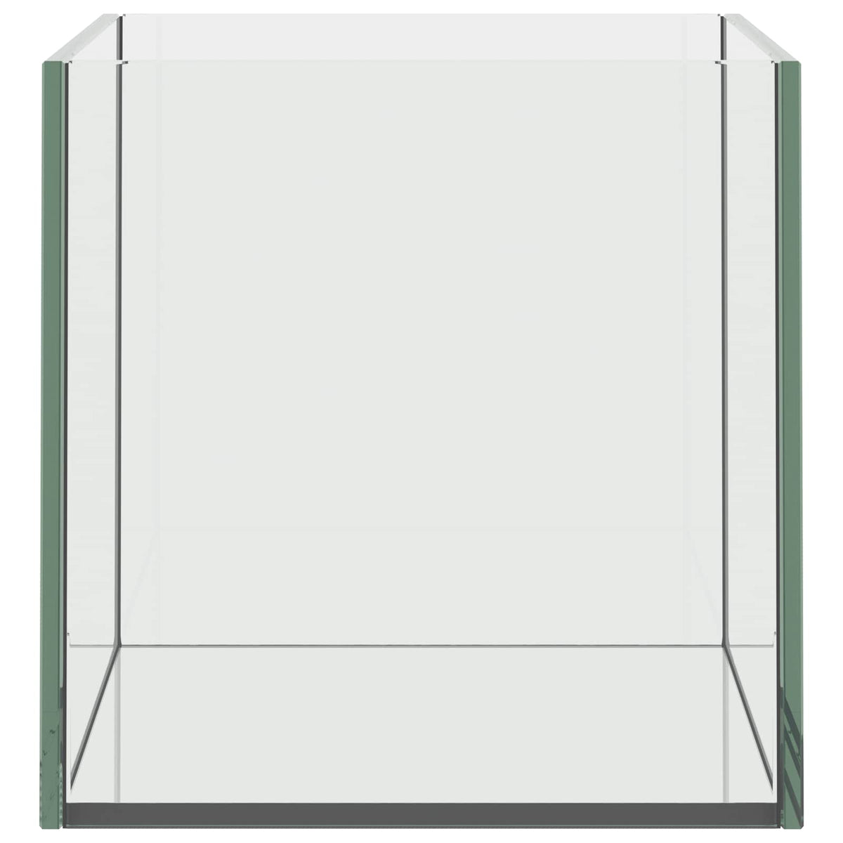 Acquario con archiviazione Trasparente 30 x 20 x 20 cm Vetro