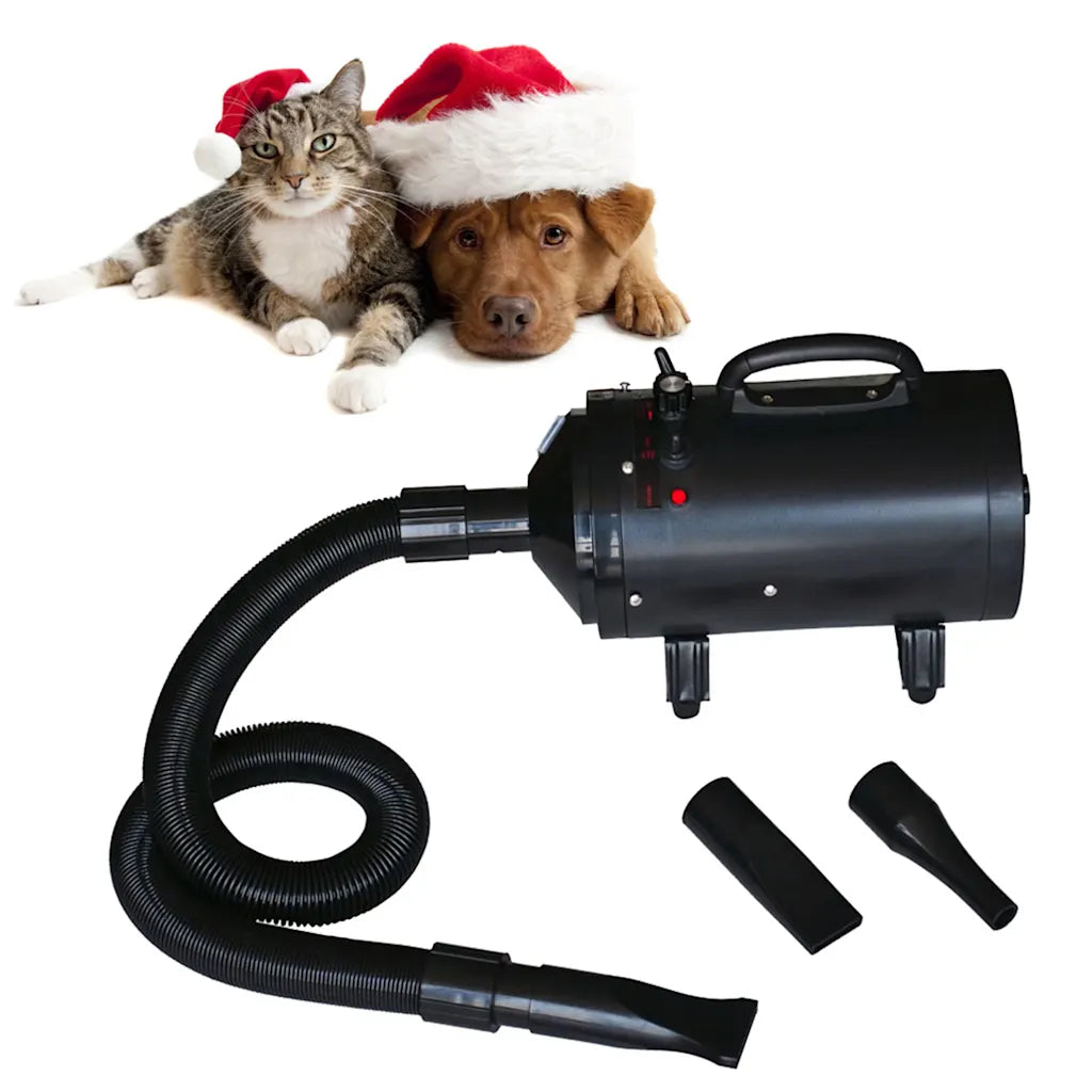 Phon per cani con 3 ugelli 2400 W