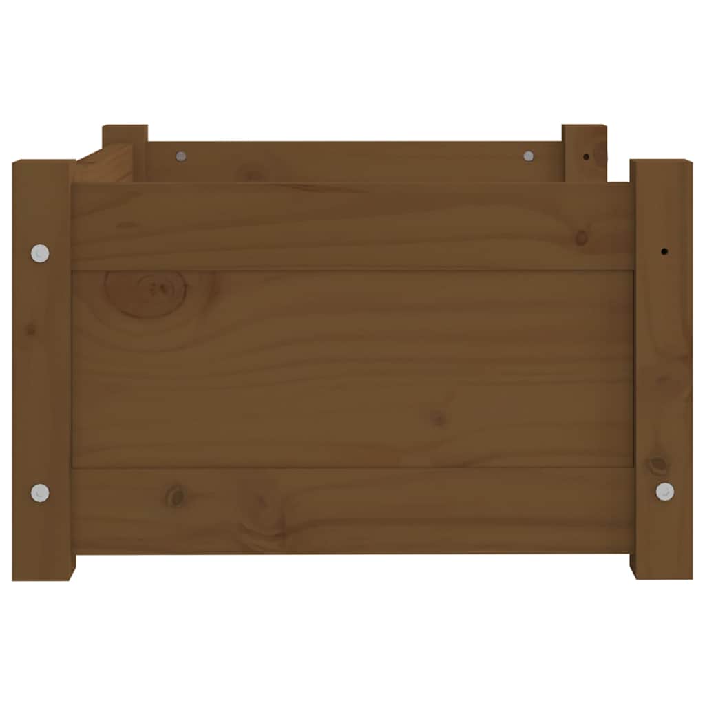 Cuccia per Cani Ambra 55,5x45,5x28 cm Legno Massello di Pino