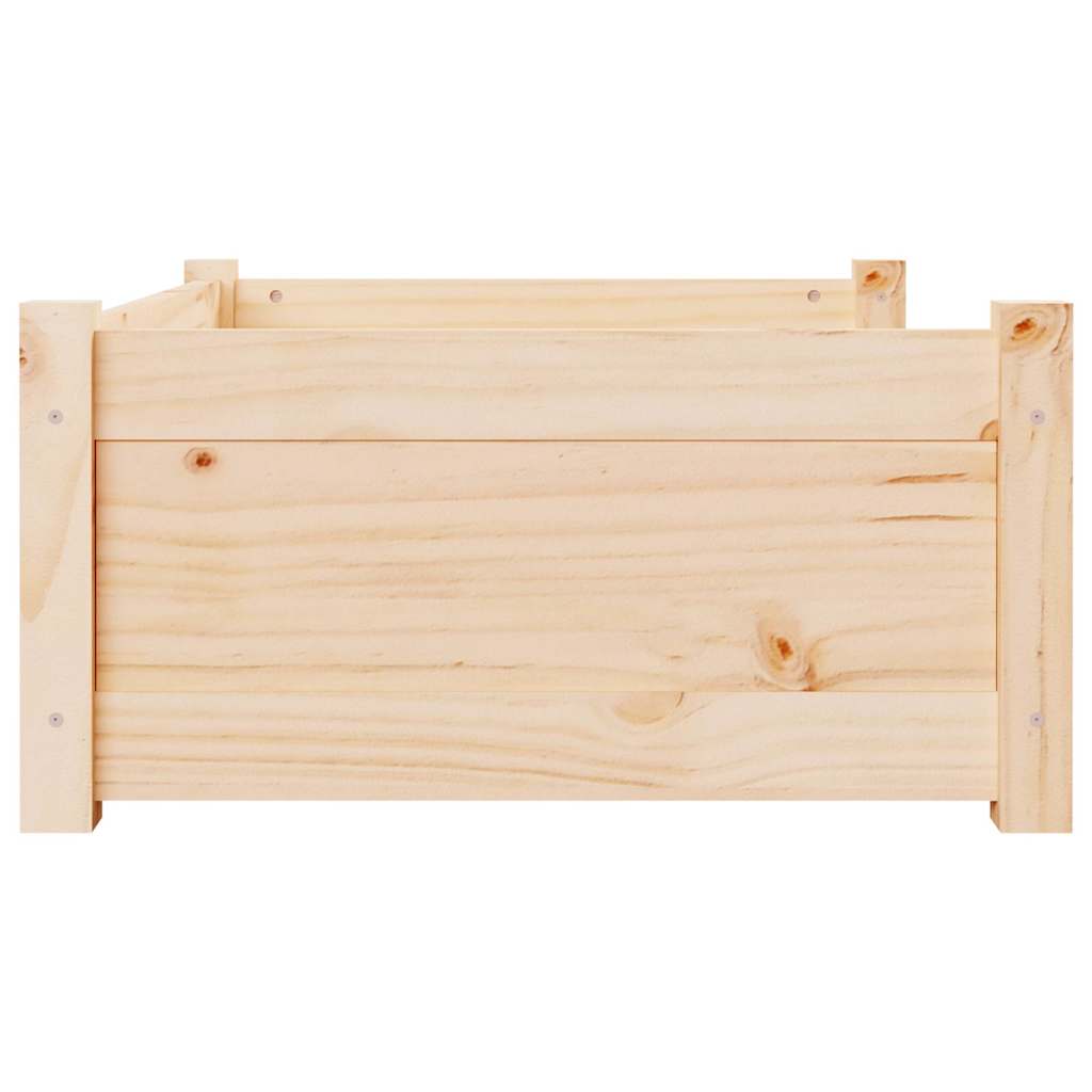 Cuccia per Cani 75,5x55,5x28 cm in Legno Massello di Pino