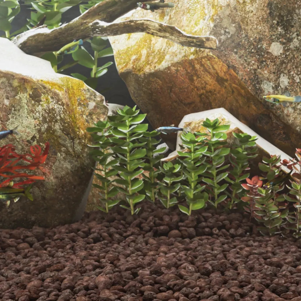 Rocce vulcaniche 25 kg naturali 3-5 cm