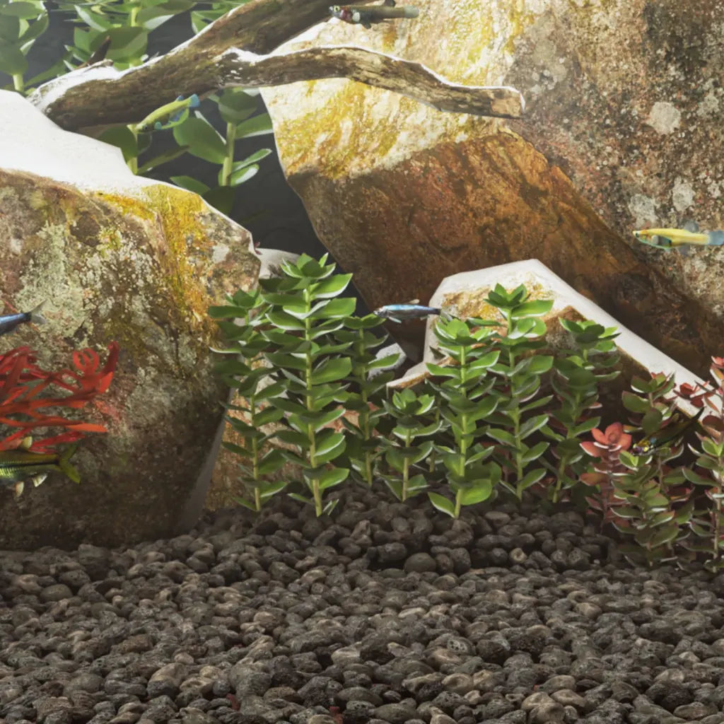 Rocce vulcaniche 25 kg naturali 3-5 cm