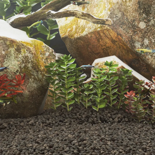 Rocce vulcaniche 25 kg, 1-2 cm