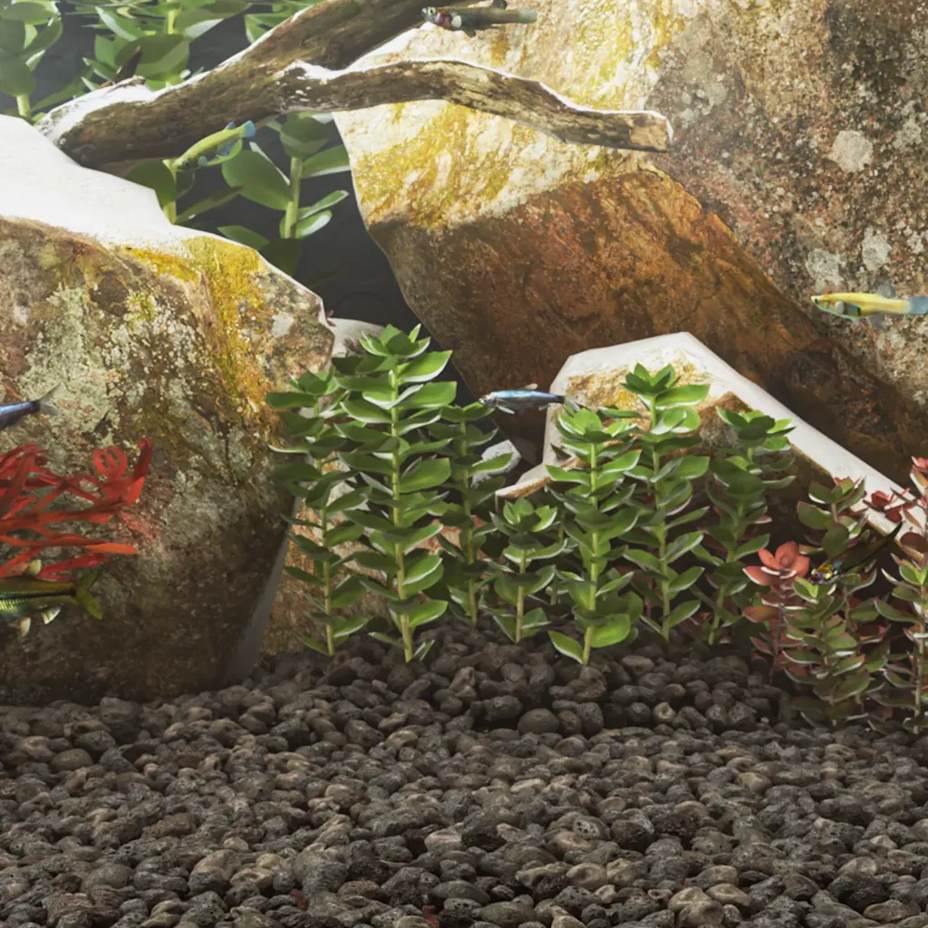 Rocce vulcaniche naturali 25 kg, 3-5 cm