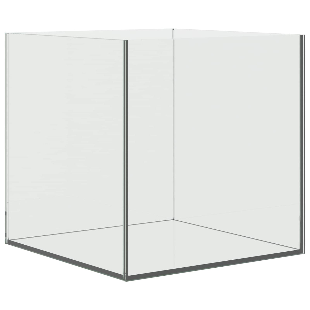 Acquario con archiviazione Trasparente 30 x 30 x 30 cm Vetro