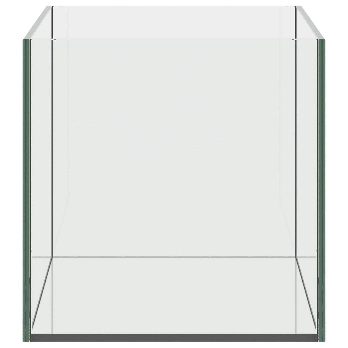 Acquario con archiviazione Trasparente 40 x 25 x 25 cm Vetro