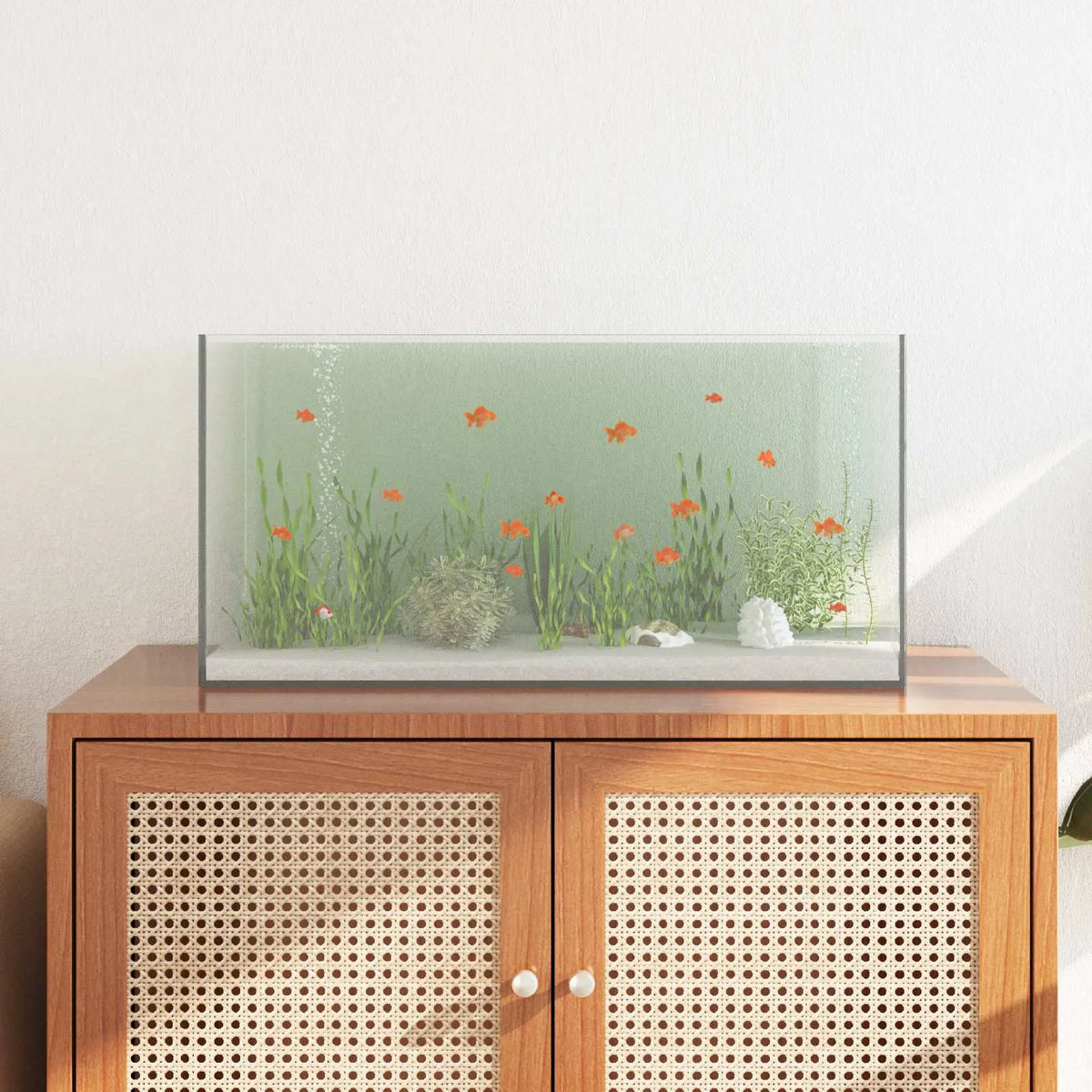 Terrario 60 x 30 x 30 cm in OSB con vetro temperato