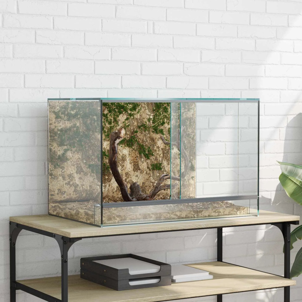 Recinto per lettiera gatti in truciolato 60x40x40 cm