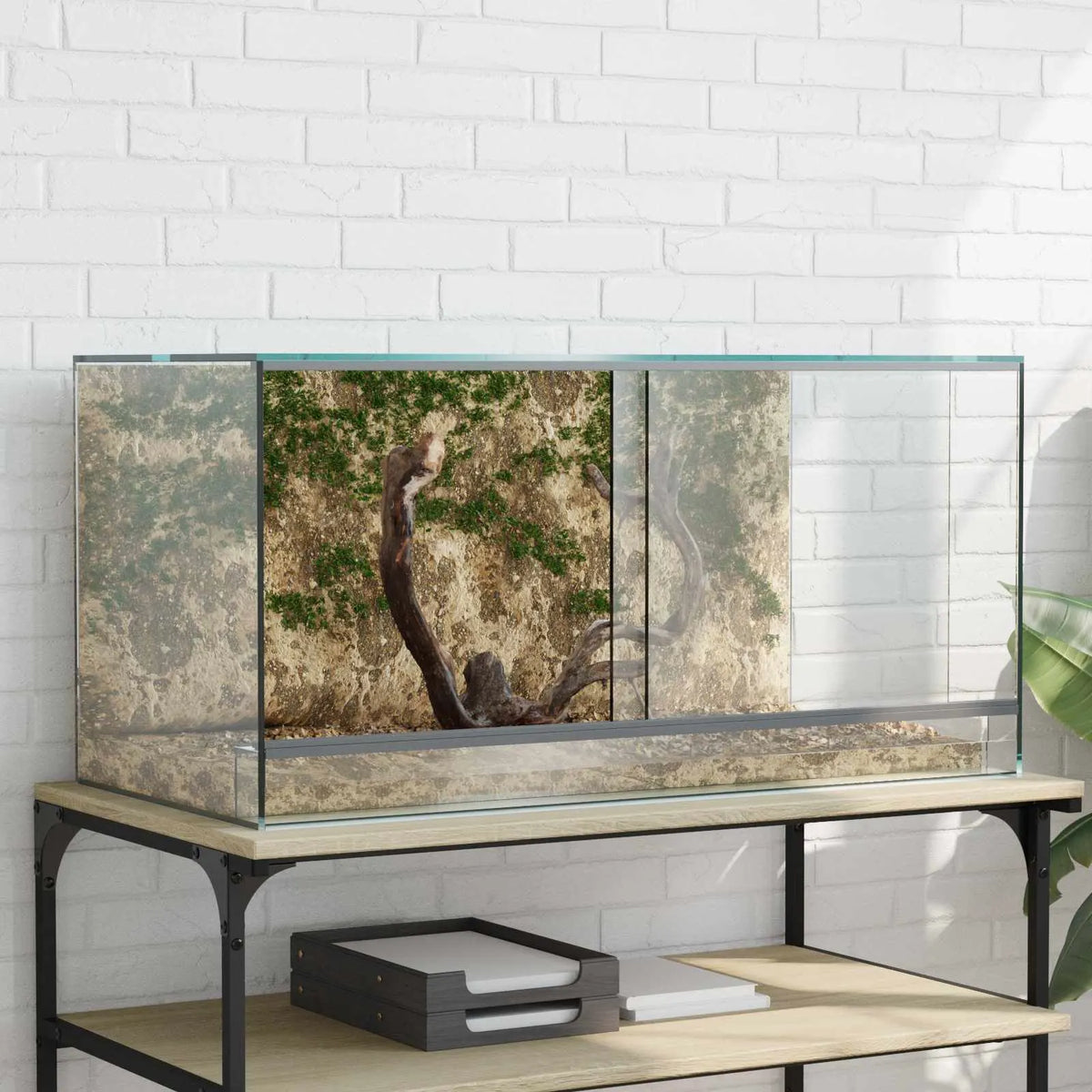 Terrario 80 x 40 x 40 cm in OSB con vetro temperato