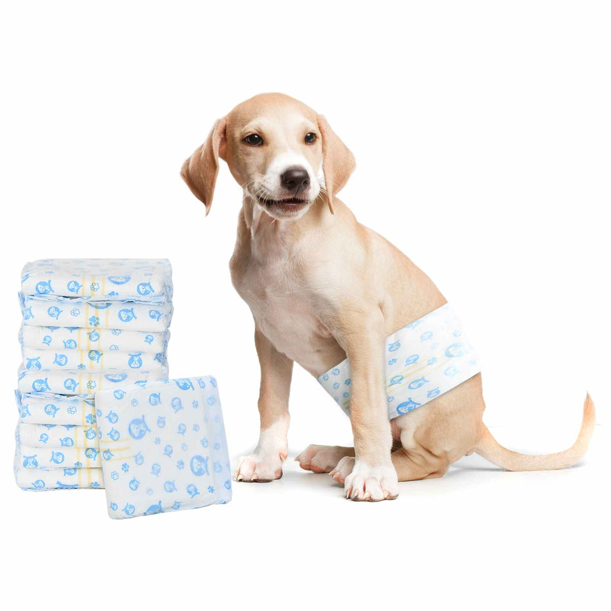 Pannolino usa e getta per cani maschi 50 pz Bianco XS