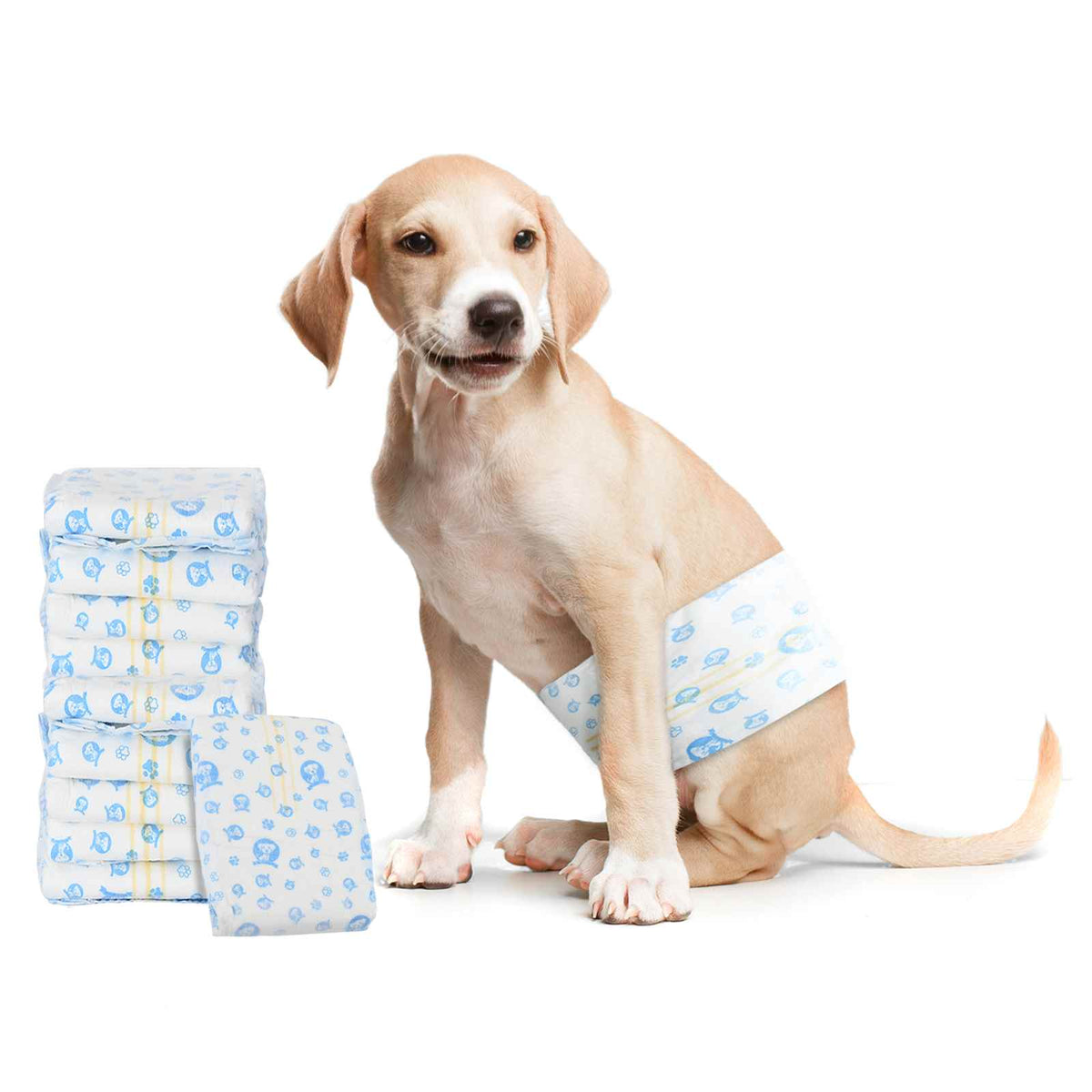 Pannolino usa e getta per cani maschi 30 pz Bianco L