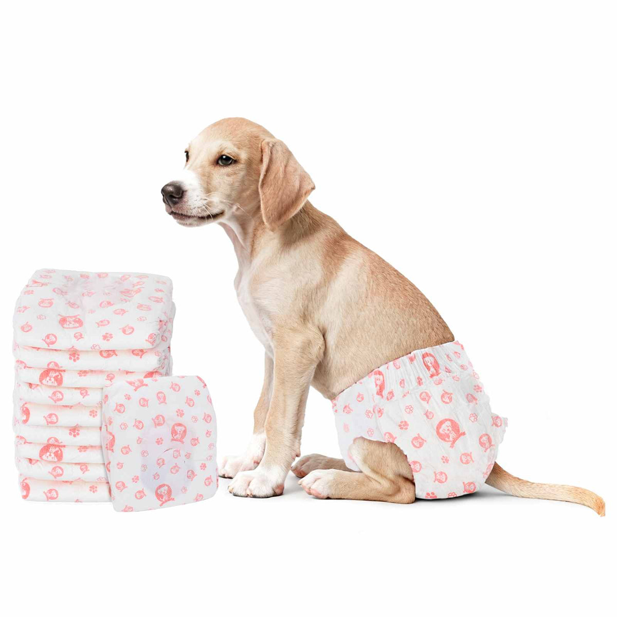 Pannolino usa e getta per cani femmina 50 pz Bianco S