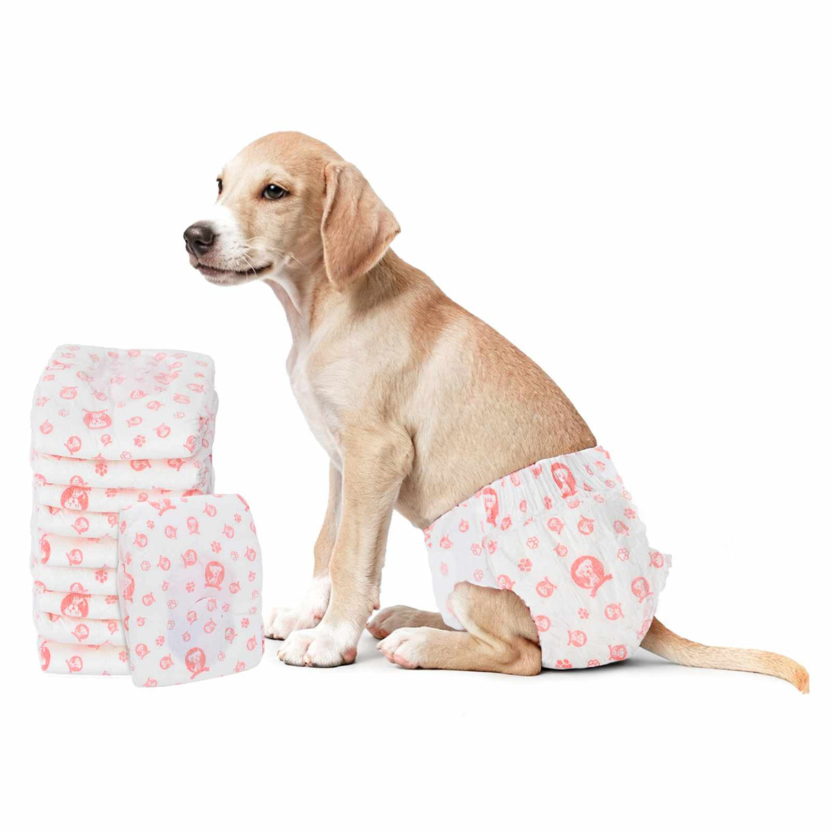 Pannolino usa e getta per cani femmina 30 pz Bianco M